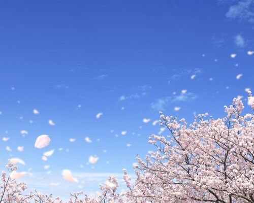 f615c6d19b366bab5313a07a58f125d5_s