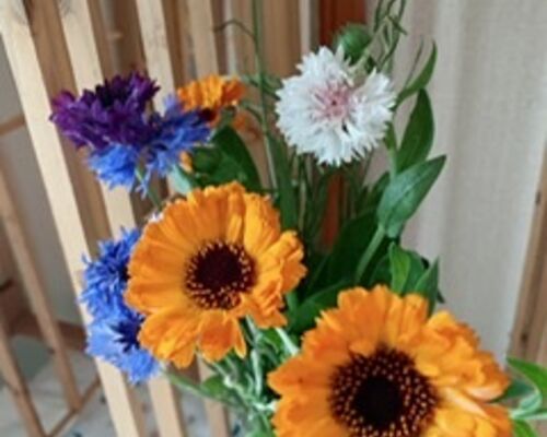 切り花