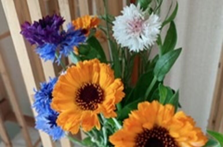 切り花