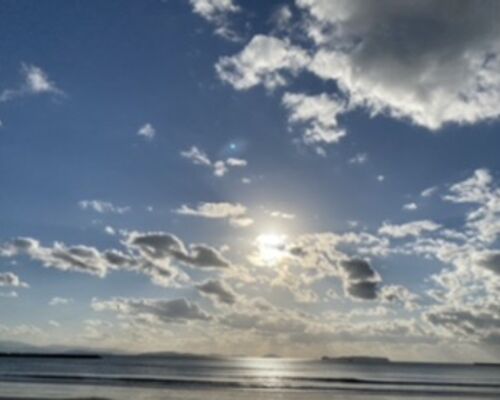 海